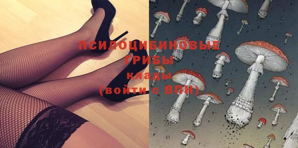 винт Арсеньев